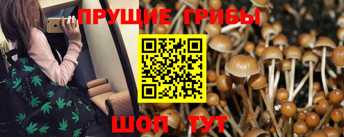 Псилоцибиновые грибы Magic Shrooms Полысаево